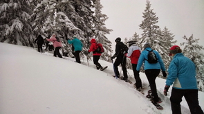 Sportart "Schneeschuh-Wandern"